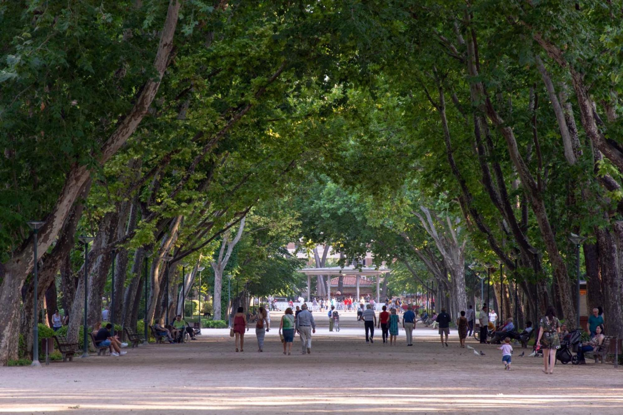 Bonito En Centro Ciudad Con Garaje * Albacete